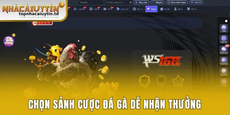 Chọn sảnh cược đá gà dễ nhận thưởng 