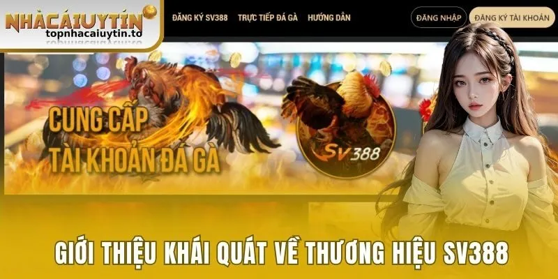 Giới thiệu khái quát nhất về thương hiệu SV388