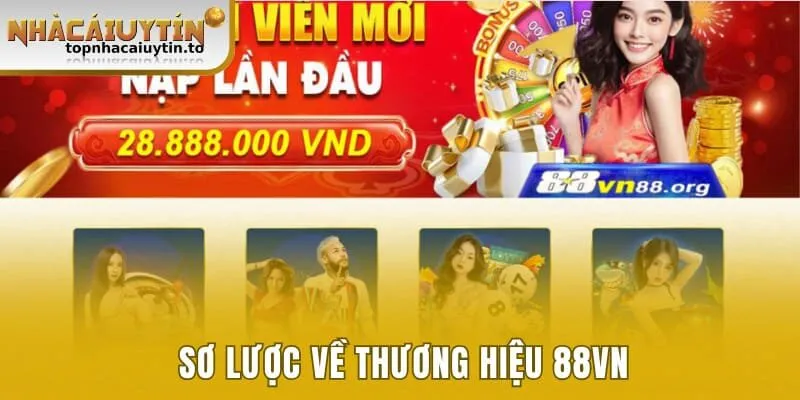 Sơ lược về thương hiệu 88VN