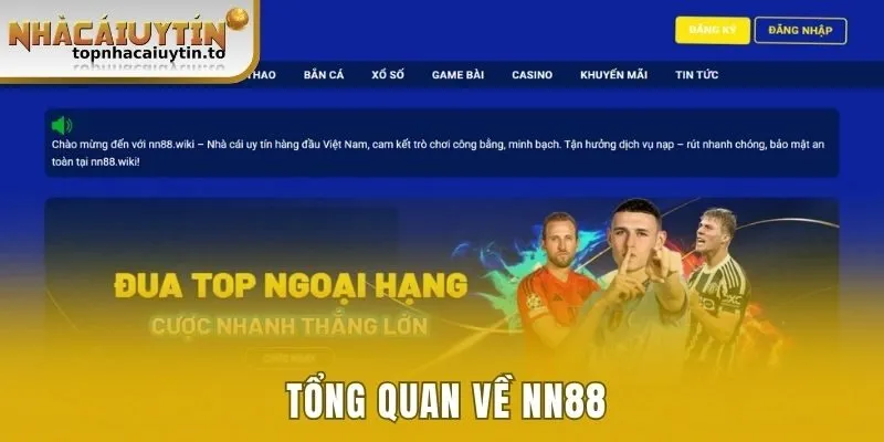 Tổng quan về NN88