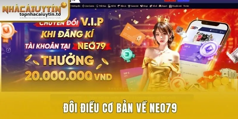 Vài nét sơ lược về Neo79