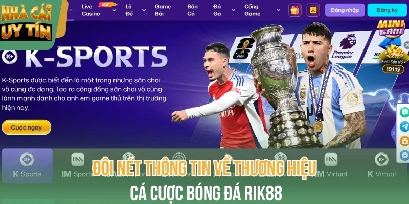 Đôi nét thông tin về thương hiệu cá cược bóng đá Rik88