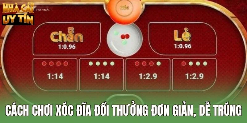 tìm hiểu xóc đĩa